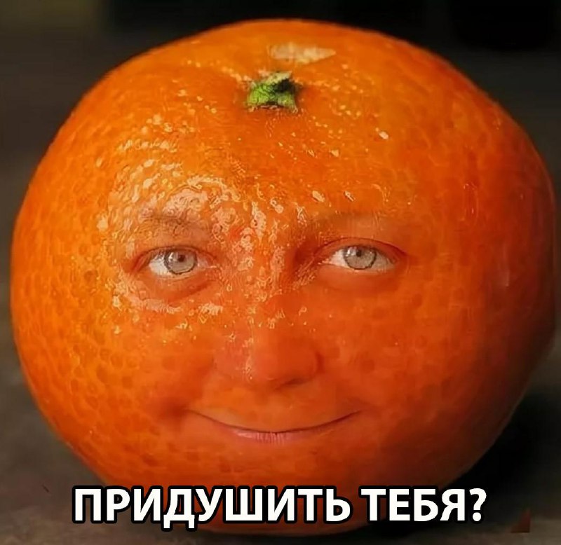 Зумерша из Москвы чуть не получила премию Дарвина, пытаясь сожрать целый мандарин.
20-летняя гения