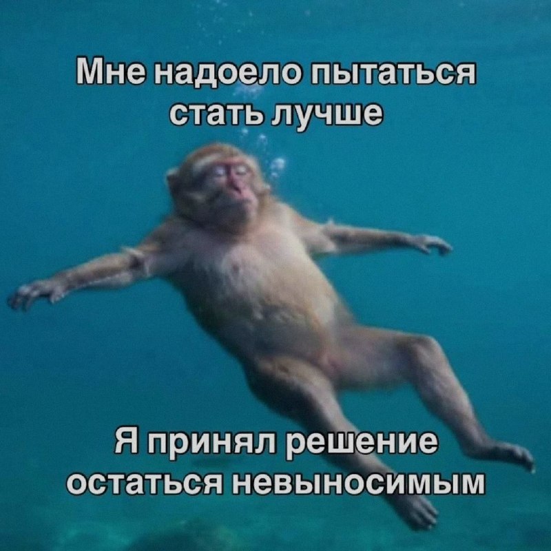 Ночная подборочка
Спать, режим