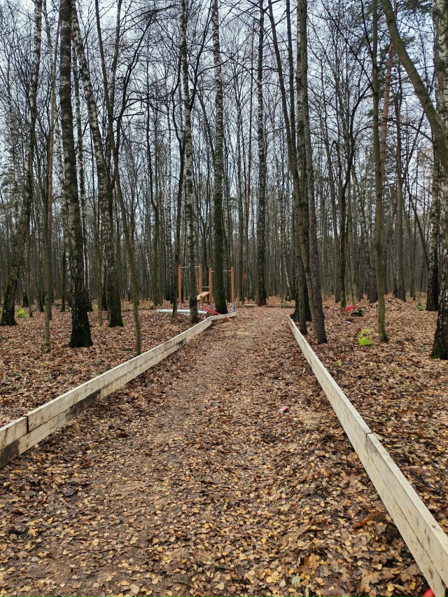 Вот, пожалуйста. Лес по улице Евстафьева решили заката?...