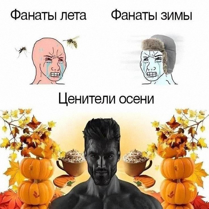 Утренняя подборочка