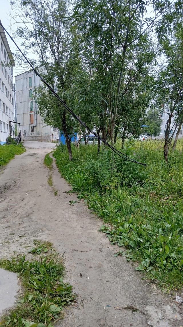 парковая 9