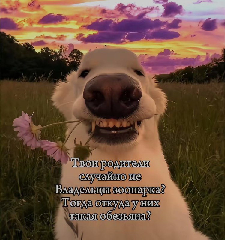 Ночная подборочка
Спать, режим