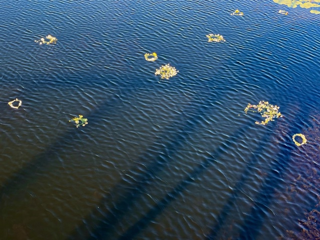 ?? Весёлый и яркий праздник Ивана Купала на базе отд?...