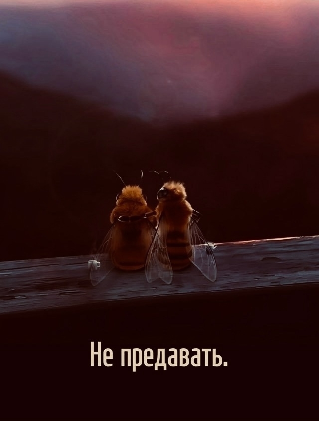 Про любовь
Пересылайте посты близким, ставьте реакци...