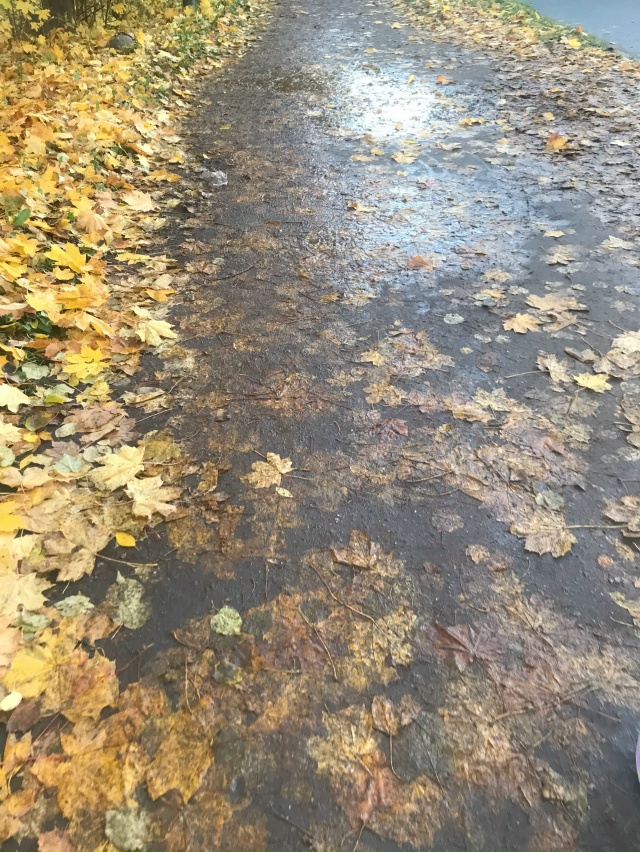 Вот малая часть наших «тротуаров»