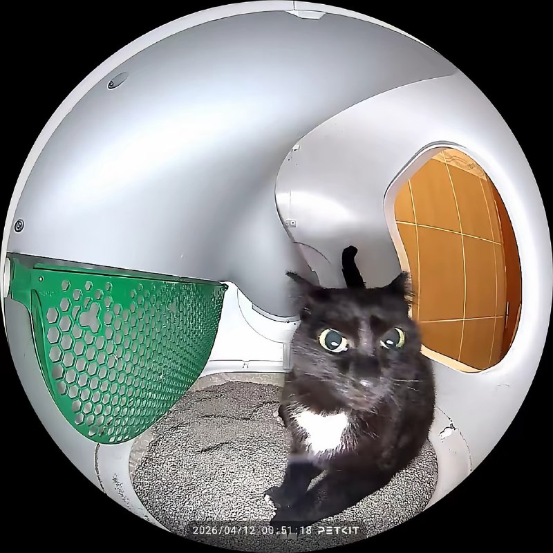 Вас заметили