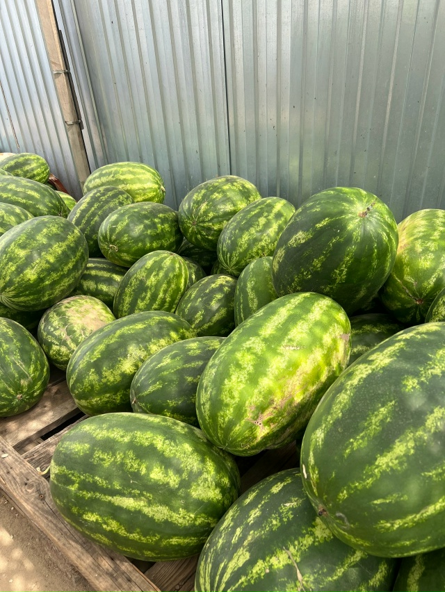 🍉🍉🍉2 сорта арбузов🍉🍉🍉
Стоимость — 20 руб / кг
Са?...