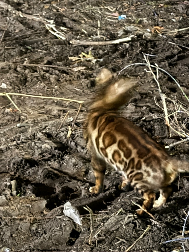 Чья потеряшка????
Увидела на Водниках, сфоткать не получ...