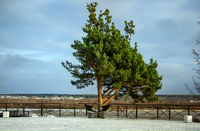 Доброе утро, Вельск! 😉
📸: [id12110983|@helgavd]