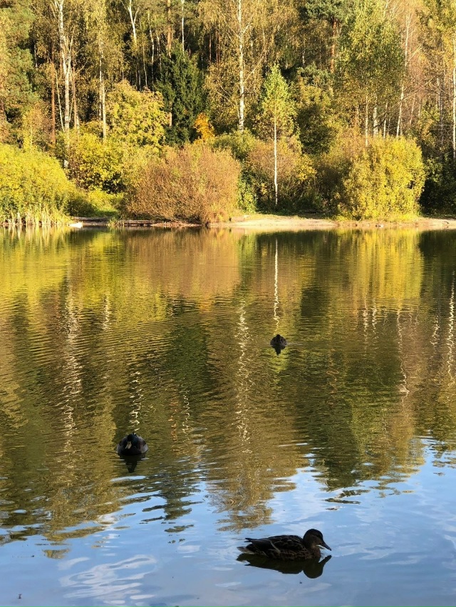 Солнечный день на третьей Балашихе 🍁