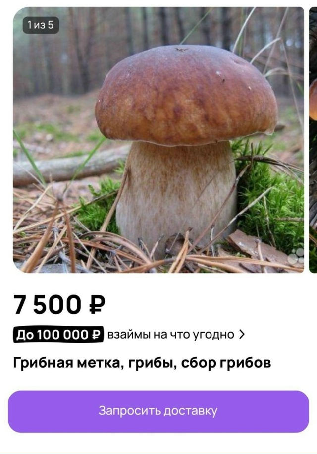 🤣 В России на досках объявлений начали продавать «гри...