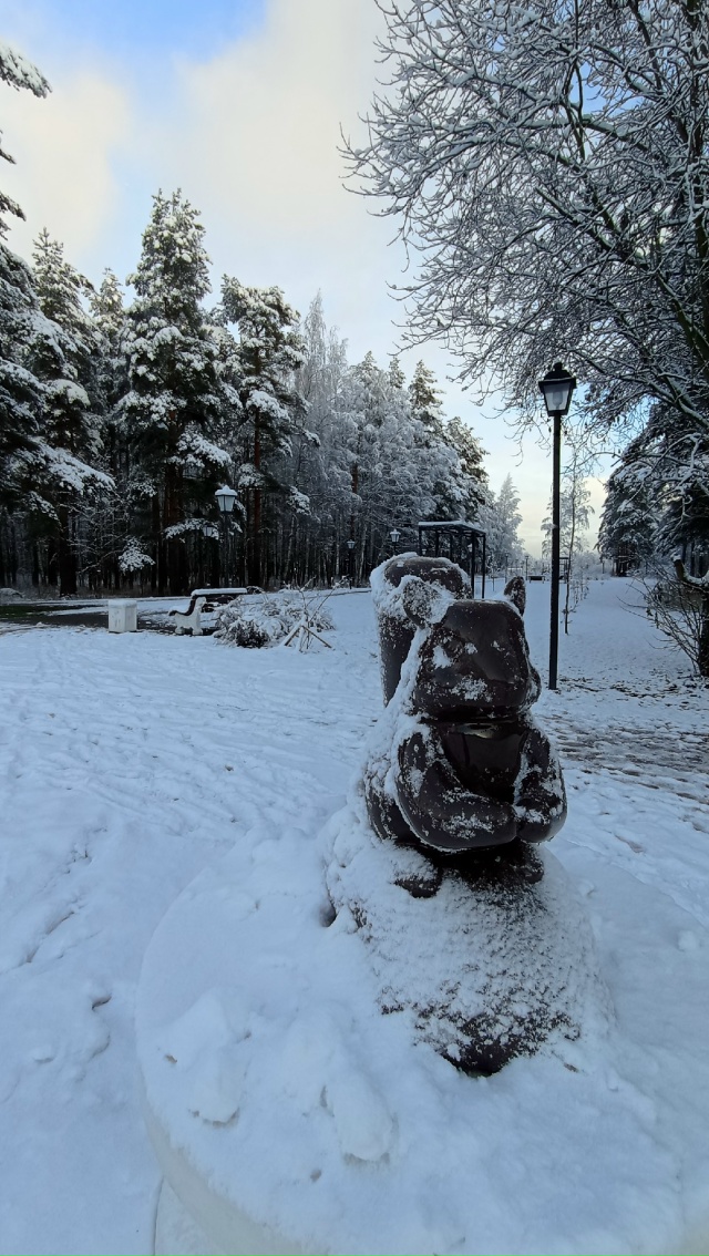 Немного зимней красоты))