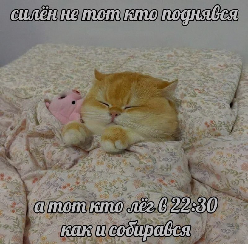 Ночная подборочка
Спать, режим