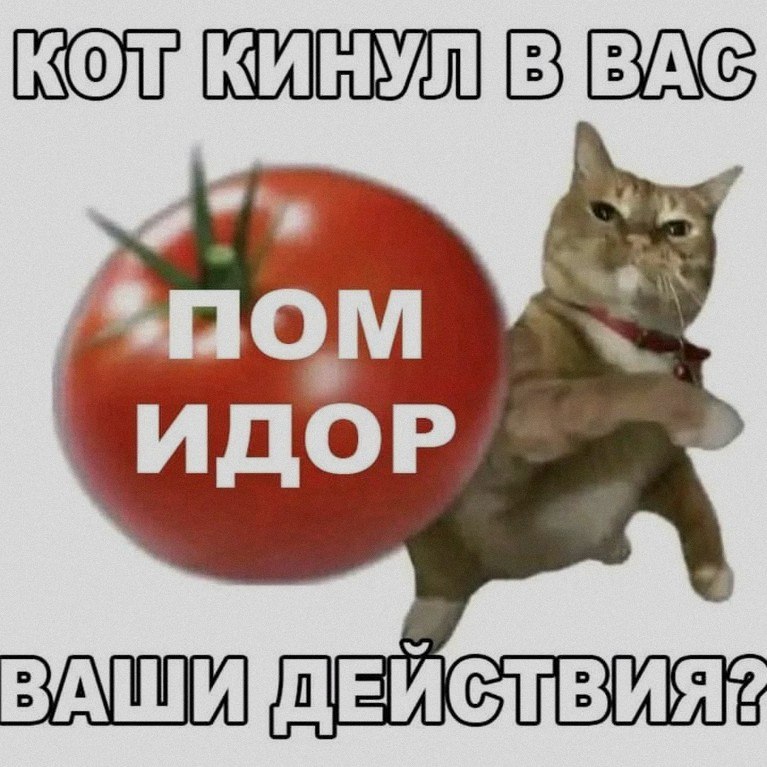Ночная подборочка
Выходные, не спим