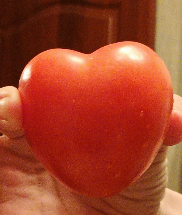 ❤️Мне сегодня попалась помидорка в форме сердечка, а ?...