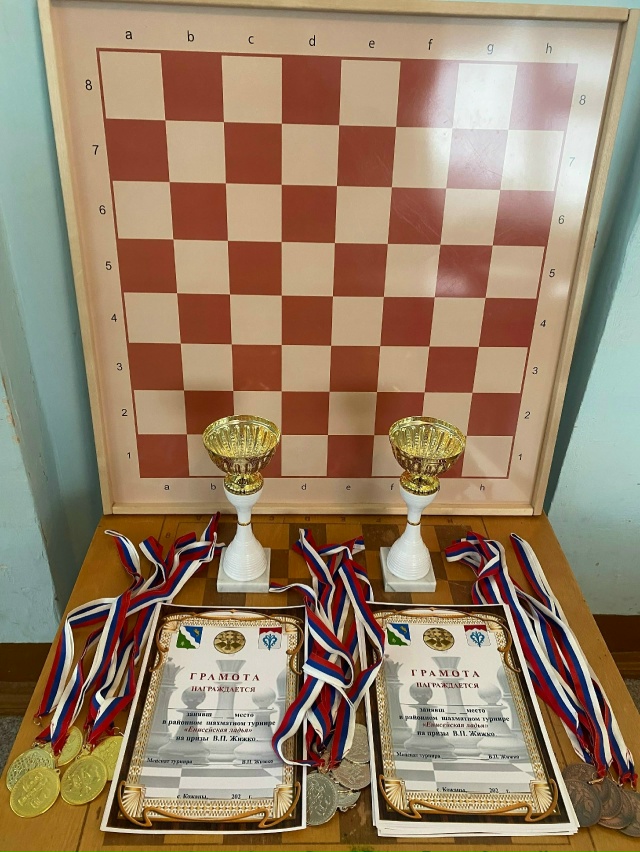 ПОСВЯЩАЛОСЬ ДНЮ СИБИРИ!
8 ноября в Кожановском шахмат...