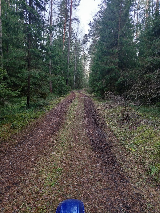 Катнул по райончику