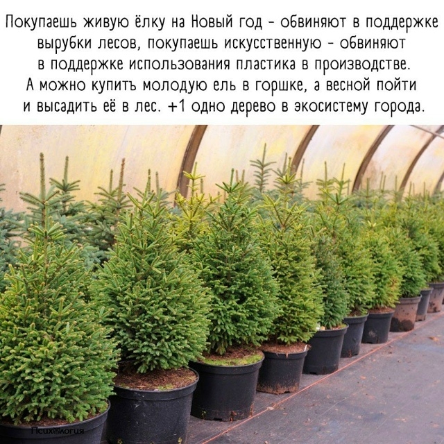 Хорошая идея, согласны?