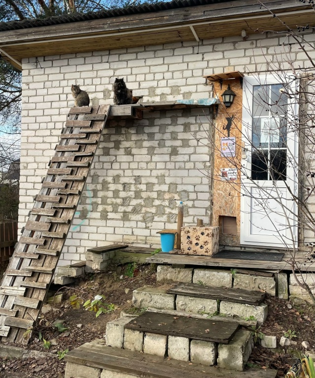 В одном из СНТ Раменского округа сделали вот такой «Ко?...