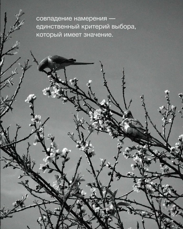 Это очень интересно...