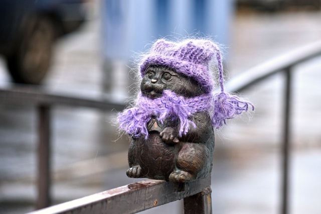 Сарапульские котики уже утеплились. А наши миниатюрки ...