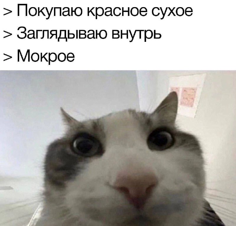 Утренняя подборочка