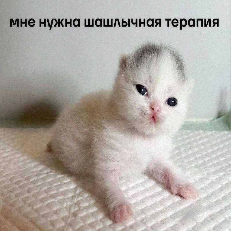 Утренняя подборочка