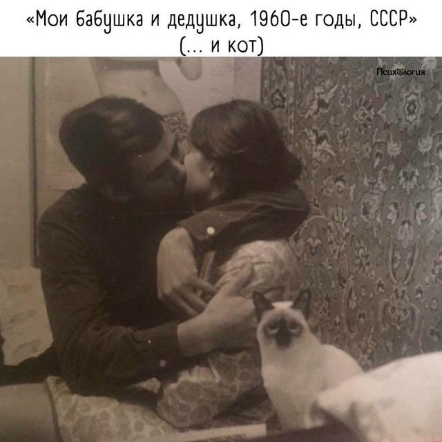 Фотографии - это визуальная память