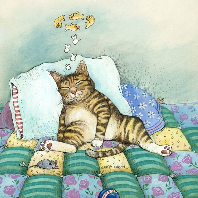 В мечтах о рыбках 🐾