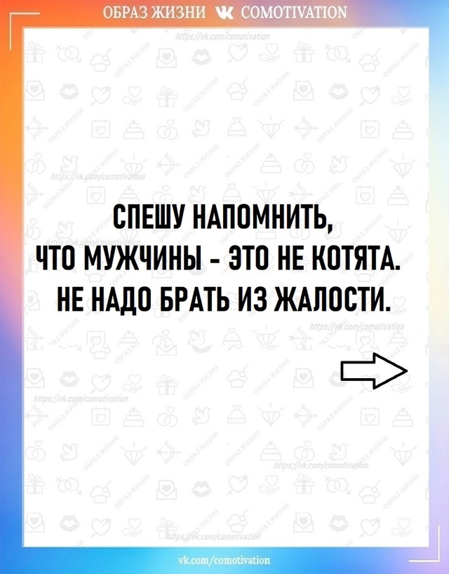 Не котята.