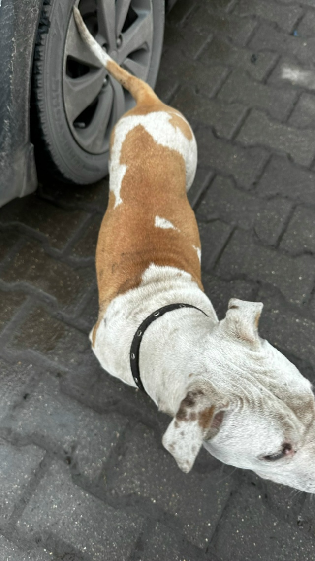 01.12.2025 в 13:00 на заправку Роснефть (при выезде из города в...