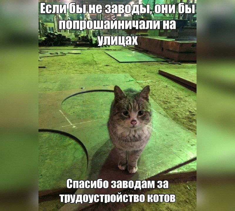 Утренняя подборочка