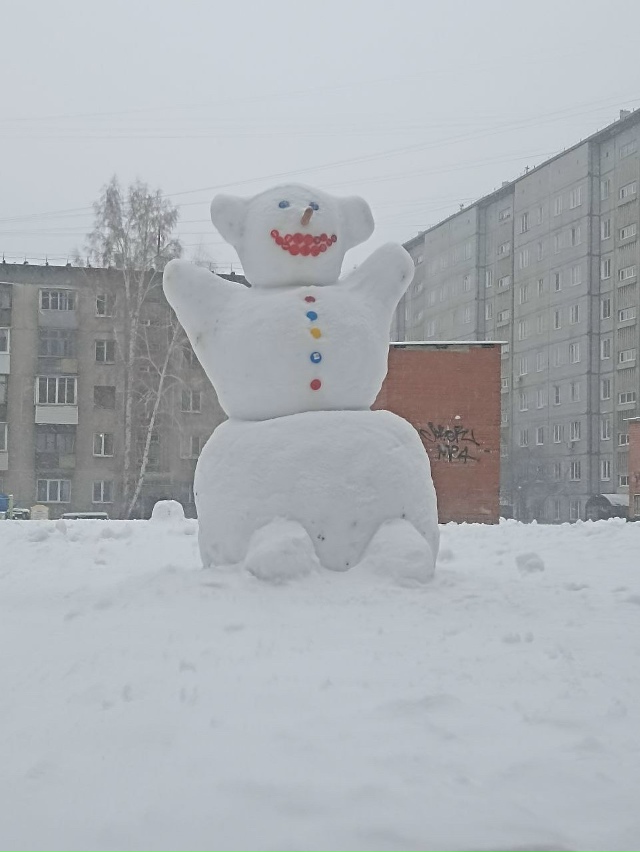 Ηa Тpoллeйкe в Лeнинcкoм paйoнe Ηoвocибиpcкa cлeпили, вoзмoжнo, caмo...