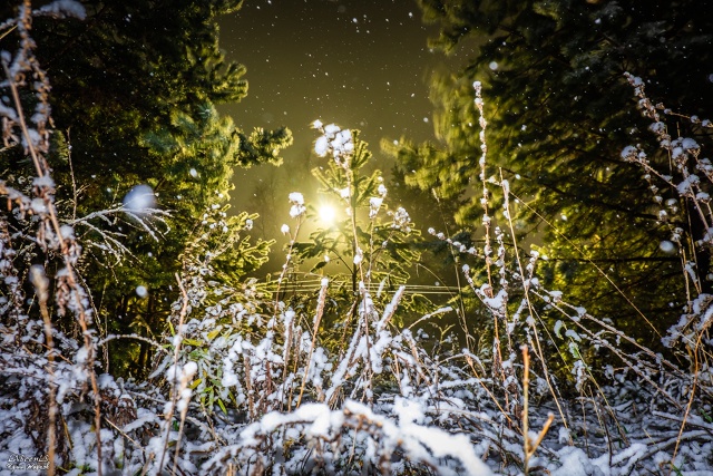 Первый снег 21 октября 2021г.
Фото: Юрий Жарков