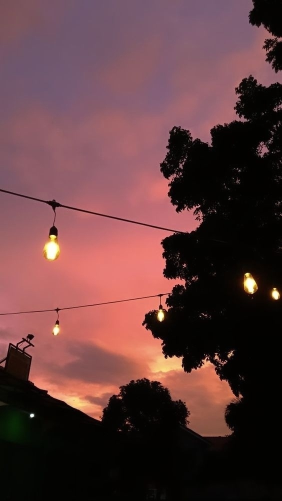 К жизни не прилагается руководство, в котором описано, ...