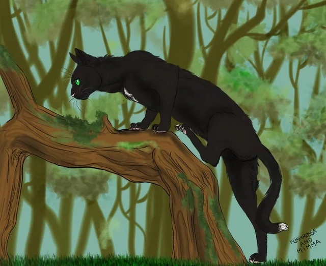 Пепелица: воительница. Попала под машину, но — в отличи...