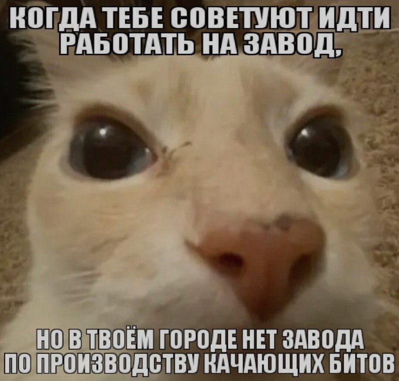 Ночная подборочка
Спать, режим