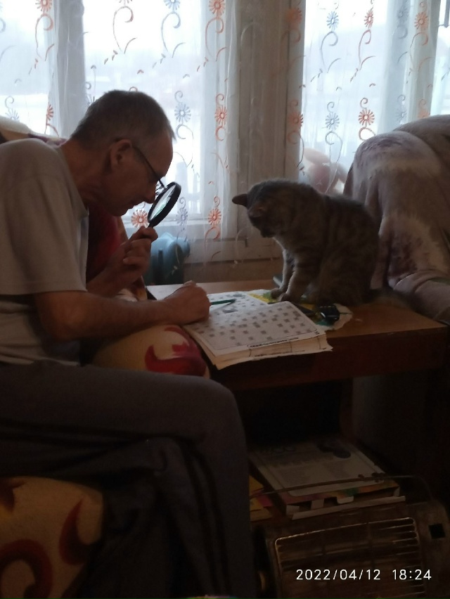 Подготовка на Поле чудес ✍️
Кот Тимка с папой.