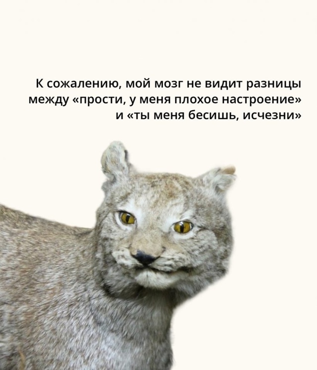 Бывает😅