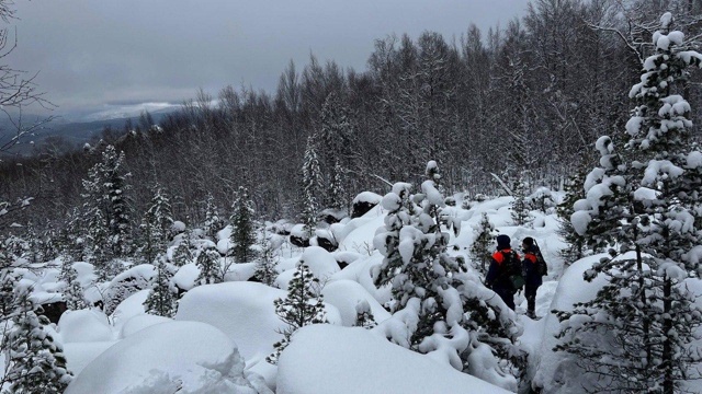 ❗️Активная фаза поисков семьи Усольцевых завершена
?...