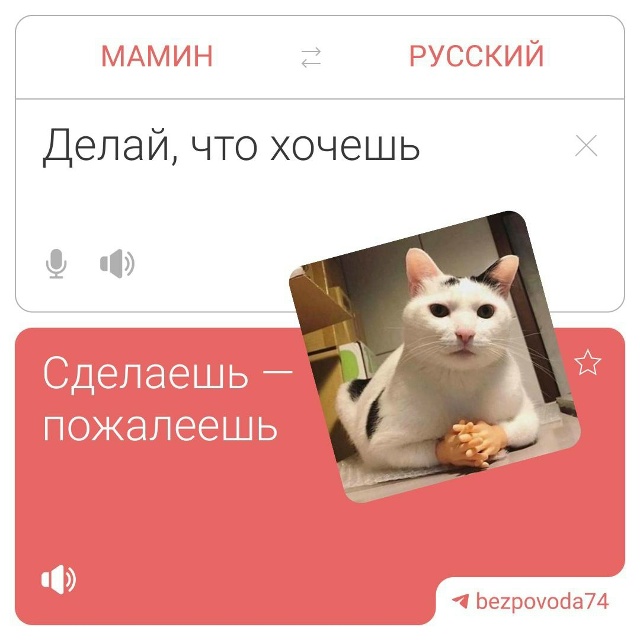 ❗️😍 Мы выросли, но мамины фразы всё еще с нами
Порой ?...