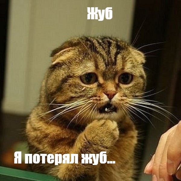 Шмешно))))