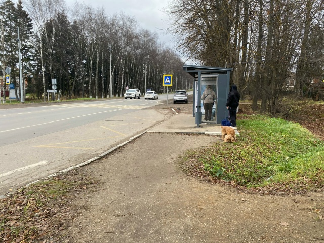 Бегает у Империи Цветов видно потерялась с поводком