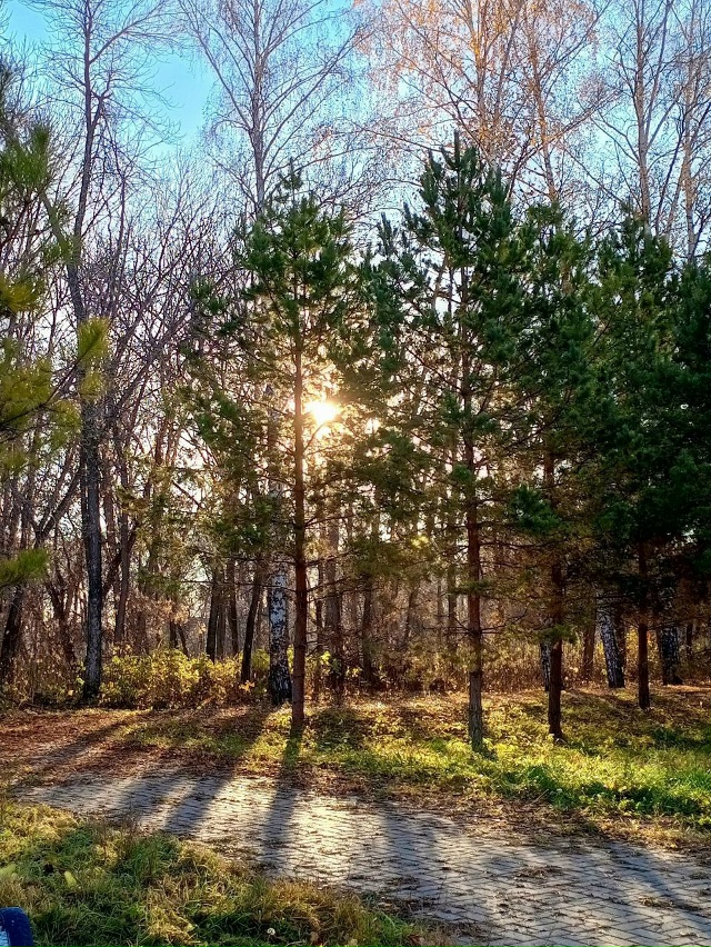 Сказка в салаватском парке ☀😍