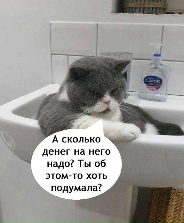 Как же он прав