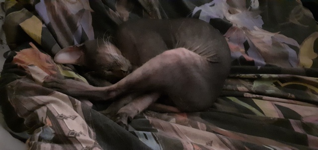 Уроки йоги от Саймона