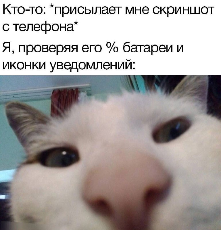 Утренняя подборочка