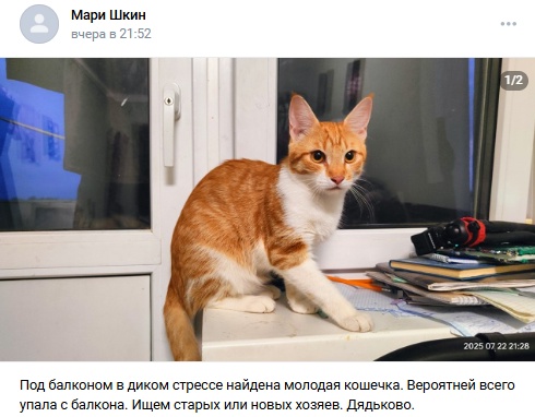 Пост добра. Распространите, пожалуйста.