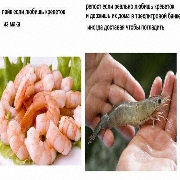 Утренняя подборочка