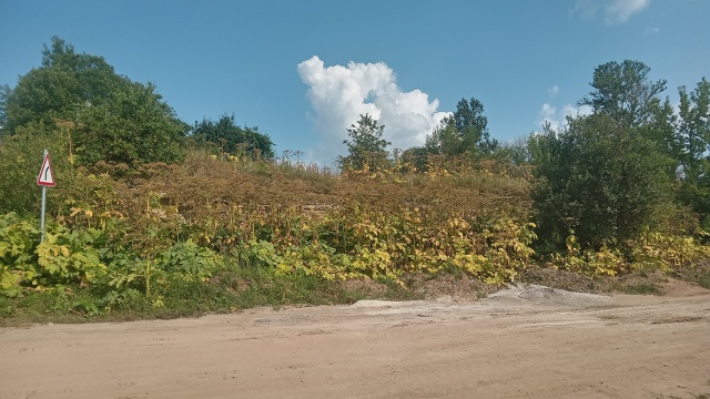 На Барыге